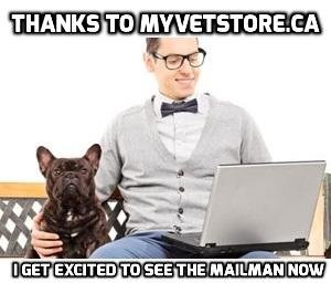 thanks to my veststore.ca